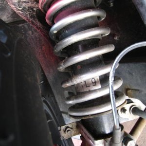 forest auto factory 1.5in Liftup spring