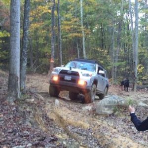 Yeah, this is Spy45 trying the Taco route. Too wide!