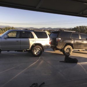 IMG 0887