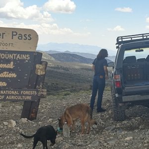 Wheeler Pass.