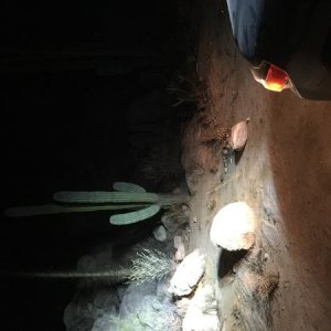 Catavina, Baja
