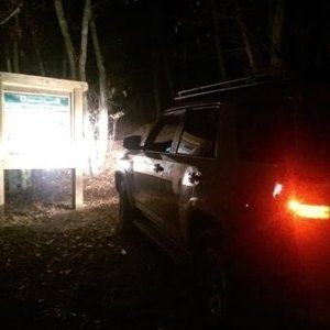 Stock Lights are all thats needed for now...