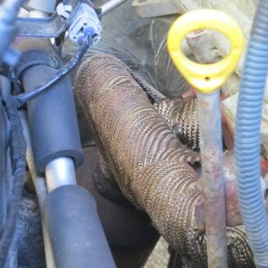 jba short tube headers