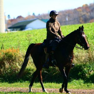 Coal Cracker, Grafton & Coby rides 064