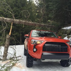 Baldy Mountain Rd. near Sandpoint, ID