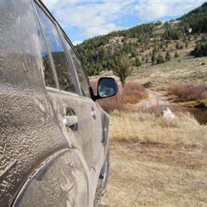 Wyoming camo