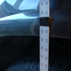 front driver stock height