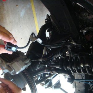 ABS harness