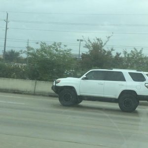 IMG 0532