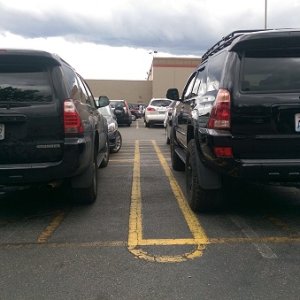 Stock vs Lift (back)