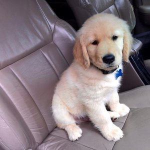 My co-pilot fresh on the job.