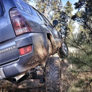 mogollon rim, AZ
