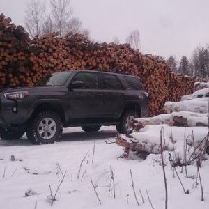 logging roads