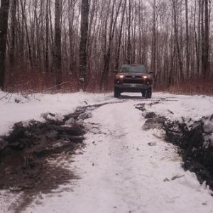 in a swamp where i broke through the top layer of ice