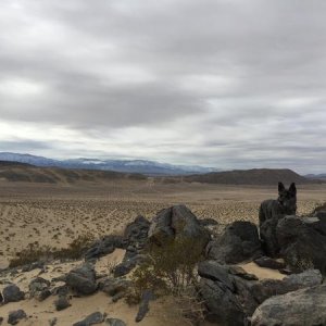 IMG 2112