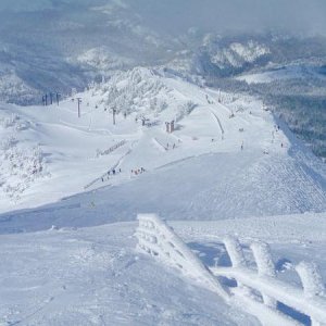 Mammoth Mountain