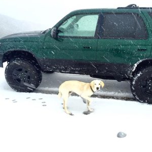 January 2016 / Plasti dipped the 1/4 panel / First snow trip after / New adjustable Bilstein 5100's up front (lagging on the rear end)