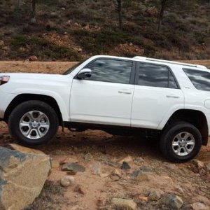 Stock Flex!!!