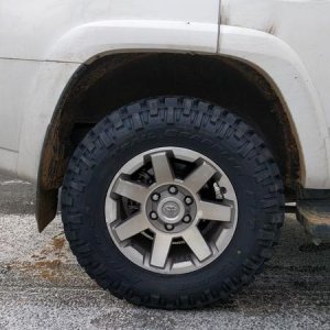 Rear