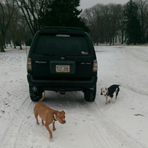 Finally got a little snow to play in