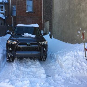 Beast in snow