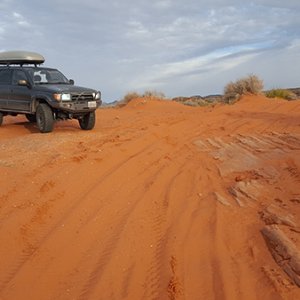 playing in the sand