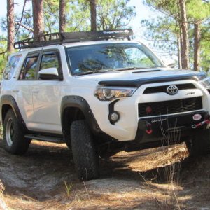 Posing in Kisatchie