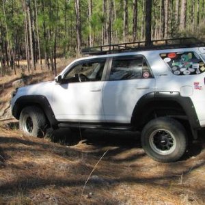Posing in Kisatchie