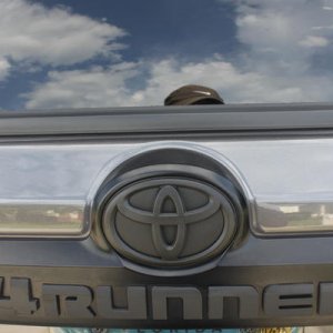 emblem painted