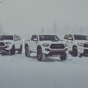 2017 Toyota Group Photo