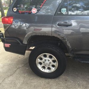 Ass Fender