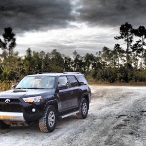 On a forest road in Everglades NP