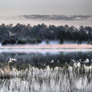 Morning fog at Clearwater Lake, Ocala NF
