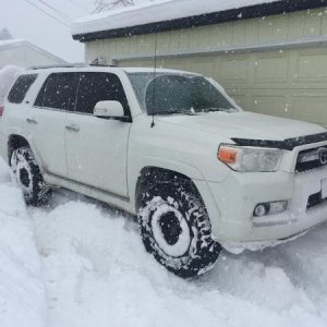 Over 10 inches of snow in Colorado. No problem for the white runner! Enjoyed playing in the powder!