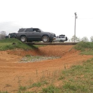 jafrush on the logs
