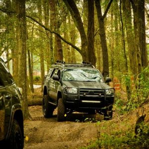 Sneaking thru the trails