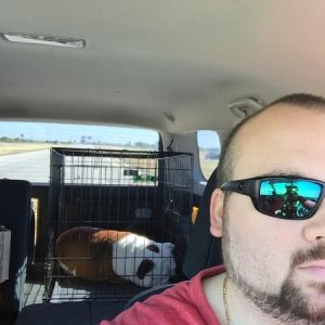 road trip! Winstons passed the f*** out lol