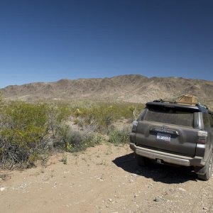 Pinkham Canyon, Joshua Tree National Park