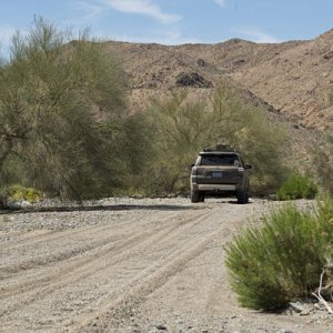 Pinkham Canyon Road leading towards Thermal Canyon. Two Palo Verde trees and a smoke tree on the right.