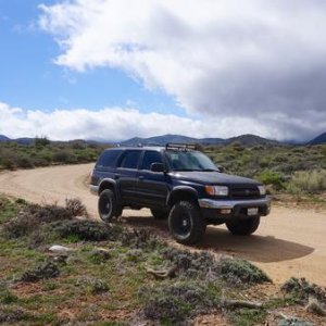 Big bear