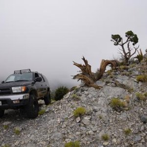 Tip top peak, big bear