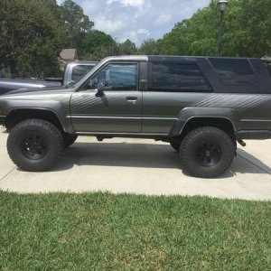 Gray 1987 (new to me) March 2016