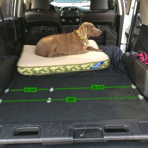 Rear Cargo Storage