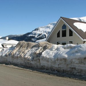 IMG 1558