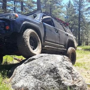 Flex shot