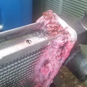 It's Alive!!

Actually, it's dead.  

Leaking Radiator