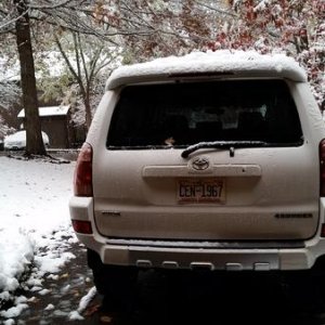 Snow Day