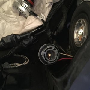 Factory DRL/Signal 1156 socket