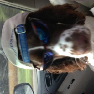Copilot excited for a road trip