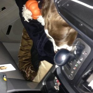 Copilot got sleepy on me